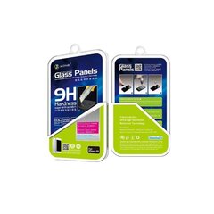 X-ONE Premium Tempered Glass Panels 0.3 мм Apple Iphone 12/12 Pro цена и информация | Защитные пленки для телефонов | kaup24.ee