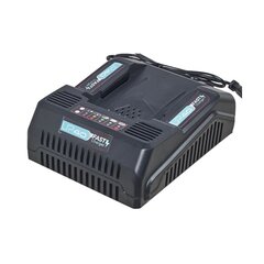 Зарядное устройство для быстрой зарядки Lexman Sterwins Up Dexter, 40V, 5A цена и информация | Шуруповерты, дрели | kaup24.ee