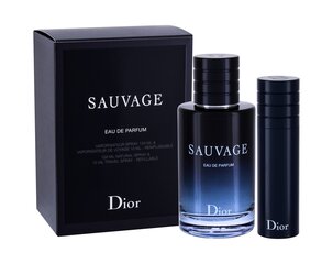 Parfüümvesi Dior Sauvage EDP meestele, 110 ml цена и информация | Мужские духи | kaup24.ee