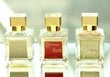 Parfüümvesi Maison Francis Kurkdjian Baccarat Rouge 540 EDP naistele 200 ml hind ja info | Naiste parfüümid | kaup24.ee