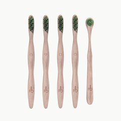 Bambusest suuhoolduskomplekt Moti-Co Bamboo Toothbrush Kit Bambusest suuhoolduskomplekt, 1 tk цена и информация | Для ухода за зубами | kaup24.ee