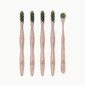 Bambusest suuhoolduskomplekt Moti-Co Bamboo Toothbrush Kit Bambusest suuhoolduskomplekt, 1 tk hind ja info | Suuhügieen | kaup24.ee