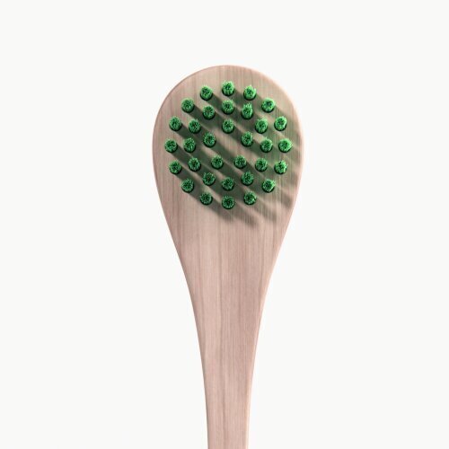 Bambusest suuhoolduskomplekt Moti-Co Bamboo Toothbrush Kit Bambusest suuhoolduskomplekt, 1 tk hind ja info | Suuhügieen | kaup24.ee