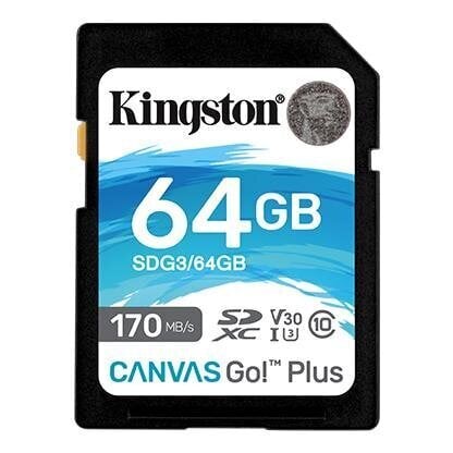 Kingston Canvas Go! Plus 64 GB, SD, Flas цена и информация | Mobiiltelefonide mälukaardid | kaup24.ee