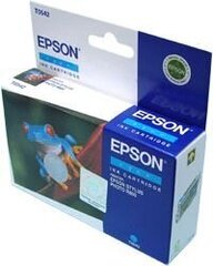 Epson C13T054240 hind ja info | Tindiprinteri kassetid | kaup24.ee