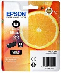 Originaalne Tindikassett Epson 33 Must цена и информация | Картриджи для струйных принтеров | kaup24.ee