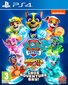 PlayStation 4 mäng Paw Patrol Mighty Pups Save Adventure Bay! цена и информация | Arvutimängud, konsoolimängud | kaup24.ee