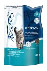 Дополнительное питание для взрослых кошек Sanabelle Dental Snack, 20 г цена и информация | Сухой корм для кошек | kaup24.ee