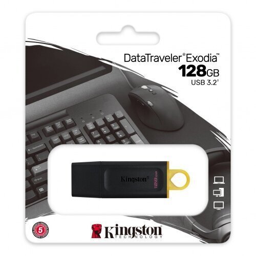 Kingston DTX/128GB цена и информация | Mälupulgad | kaup24.ee