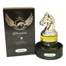 Niche Bucephalus Nr. X by Armaf lõhn meestele, 90 ml цена и информация | Meeste parfüümid | kaup24.ee