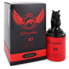 Niche Bucephalus Nr. XI by Armaf lõhn meestele, 90 ml hind ja info | Meeste parfüümid | kaup24.ee