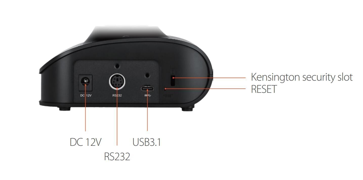 Avermedia 1VG032 hind ja info | Arvuti (WEB) kaamerad | kaup24.ee