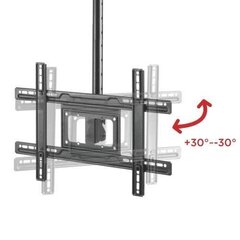 Maclean MC-803, 100" цена и информация | Кронштейны для монитора | kaup24.ee