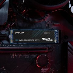 PNY CS2130 M.2 1000 GB PCI Express 3.0 3D NAND NVMe цена и информация | Внутренние жёсткие диски (HDD, SSD, Hybrid) | kaup24.ee