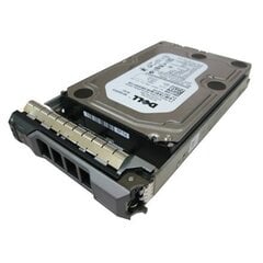 Dell 400-AJPC цена и информация | Внутренние жёсткие диски (HDD, SSD, Hybrid) | kaup24.ee