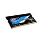 NB MEMORY 16GB PC2500 DDR4/SO F4-3200C22S-16GRS G.SKILL цена и информация | Operatiivmälu (RAM) | kaup24.ee