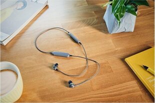 Panasonic wireless headset RP-HTX20BE-H, grey цена и информация | Наушники | kaup24.ee