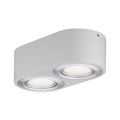 Потолочный светильник 79709 цена и информация | Потолочные светильники | kaup24.ee