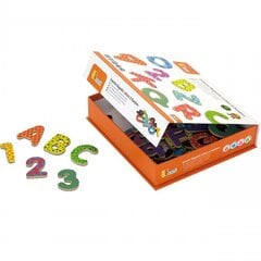 Puidust magnetite komplekt, tähestik ja numbrid hind ja info | Arendavad mänguasjad | kaup24.ee