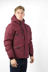 Зимняя куртка Aeronautical цена и информация | Мужские куртки | kaup24.ee