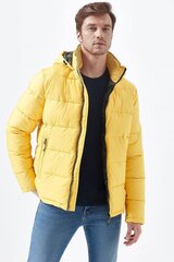 Зимняя куртка Mavi цена и информация | Мужские куртки | kaup24.ee