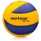 Võrkpalli pall Meteor CHILI oranž/violetne, suurus 4 hind ja info | Võrkpalli pallid | kaup24.ee
