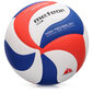Võrkpalli pall Meteor MAX900, suurus 5 hind ja info | Võrkpalli pallid | kaup24.ee