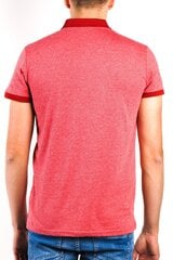Рубашка-поло LTB цена и информация | Мужские футболки | kaup24.ee