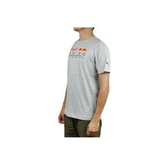 Спортивная футболка Puma Red Bull Racing Logo Tee M 595370 02, 61920 цена и информация | Мужская спортивная одежда | kaup24.ee