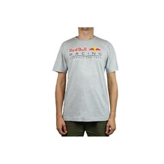 Спортивная футболка Puma Red Bull Racing Logo Tee M 595370 02, 61920 цена и информация | Мужская спортивная одежда | kaup24.ee