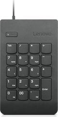 Lenovo 4Y40R38905 цена и информация | Клавиатура с игровой мышью 3GO COMBODRILEW2 USB ES | kaup24.ee
