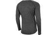 Meeste spordisärk 4F Functional Longsleeve M NOSH4-TSMLF002 90M, hall hind ja info | Meeste spordiriided | kaup24.ee