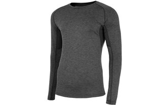 Футболка спортивная мужская 4F Functional Longsleeve M NOSH4-TSMLF002 90M, серая цена и информация | Мужская спортивная одежда | kaup24.ee