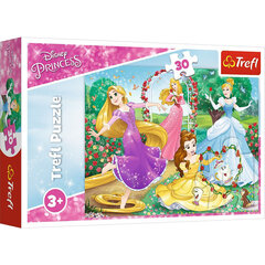 Pusle Trefl Disney Printsessid (Disney Princess) 30 tk. hind ja info | Pusled | kaup24.ee