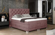 Elektriline voodi NORE Clover 14, 180x200, roosa hind ja info | Voodid | kaup24.ee