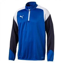 Pusa Sweatshirt Puma Esito 4 1/4 zip top training hind ja info | Meeste pusad | kaup24.ee