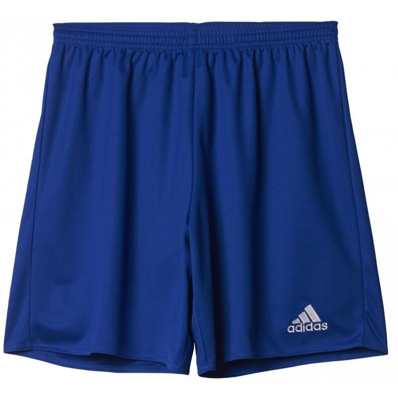 Lühikesed spordipüksid Adidas Parma 16 M AJ5882, 43206 hind ja info | Meeste spordiriided | kaup24.ee