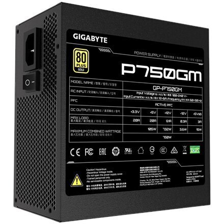 Gigabyte GP-P750GM цена и информация | Toiteplokid (PSU) | kaup24.ee