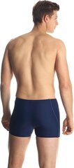 Плавательные шорты для мужчин Aqua- Speed Harry 44276- 44291 (55719) цена и информация | Плавки, плавательные шорты | kaup24.ee