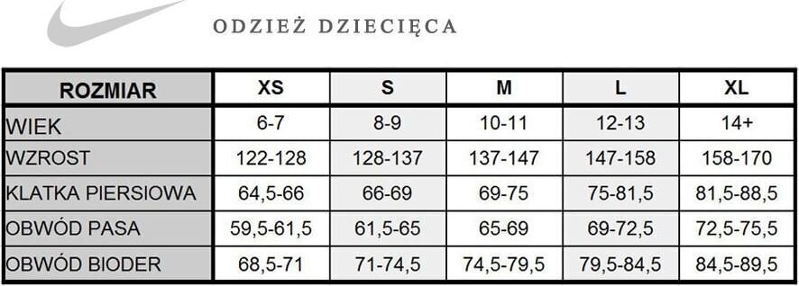 Dressipluus poistele Nike FZ FLC TM Club 19 JUNIOR AJ1458-063, 46729 цена и информация | Poiste kampsunid, vestid ja jakid | kaup24.ee