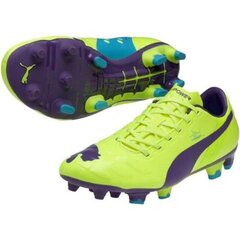 Футбольные бутсы Puma Evo Power 2 FG M 102945 04 цена и информация | Jalgpallijalatsid | kaup24.ee