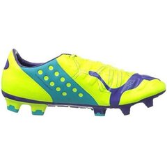 Футбольные бутсы Puma Evo Power 2 FG M 102945 04 цена и информация | Футбольные бутсы | kaup24.ee