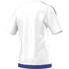 Спортивная футболка для мальчиков Adidas Estro 15 M S16169 43006 цена и информация | Рубашки для мальчиков | kaup24.ee