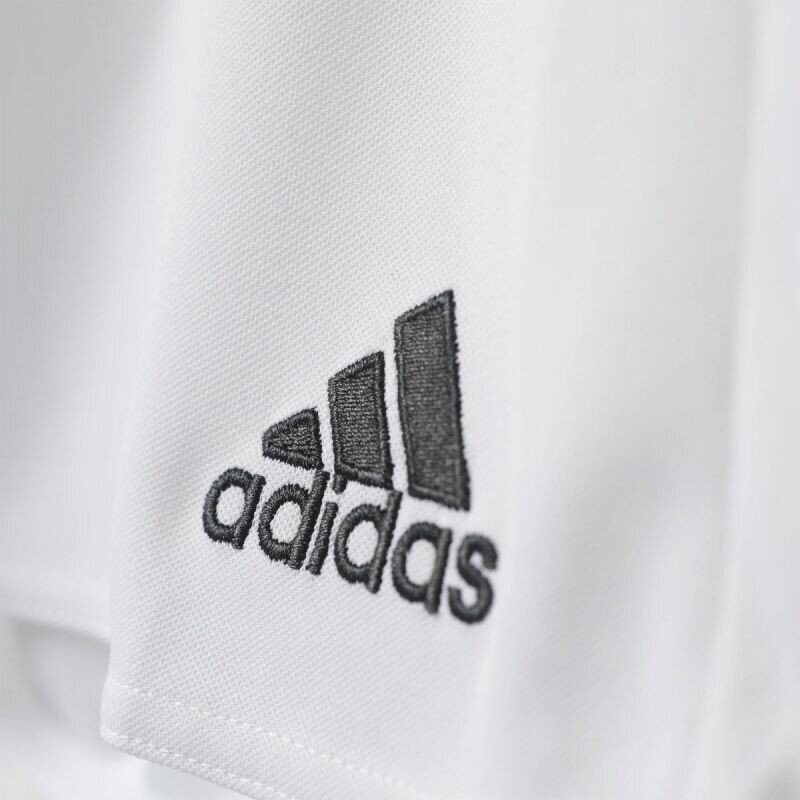 Lühikesed spordipüksid Adidas Parma 16 M AC5254, 43187 hind ja info | Poiste lühikesed püksid | kaup24.ee