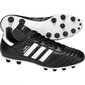 Jalgpallijalatsid, Adidas Copa Mundial FG 015110, 42923 цена и информация | Jalgpallijalatsid | kaup24.ee