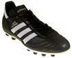 Jalgpallijalatsid Adidas Copa Mundial FG 015110,42923 hind ja info | Jalgpallijalatsid | kaup24.ee