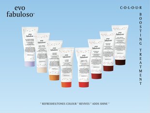Кондиционер для поддержки цвета волос EVO Chestnut Fabuloso 220 мл цена и информация | Бальзамы, кондиционеры | kaup24.ee