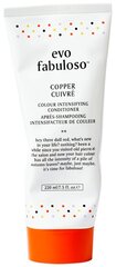 Кондиционер для поддержки цвета волос EVO Copper Fabuloso 220 мл цена и информация | EVO Духи, косметика | kaup24.ee