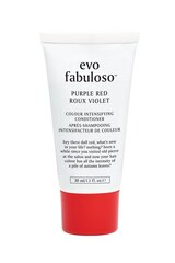 Juuksevärvi kirgastav palsam EVO Purple Red Fabuloso 30 ml hind ja info | Juuksepalsamid | kaup24.ee