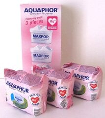 Aquaphor B100-25 Maxfor цена и информация | Фильтры для воды | kaup24.ee